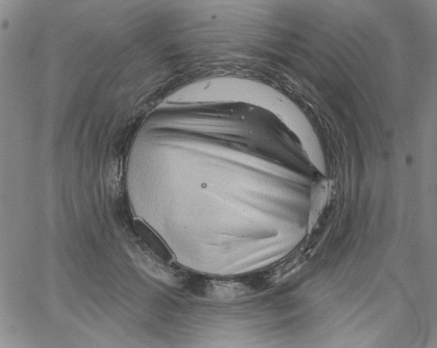 X0000066120605200604071914