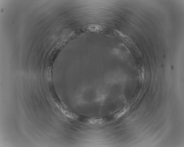 X0000066120606200604071914