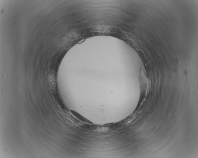 X0000066120609200604071914