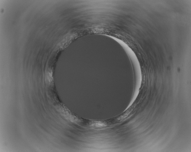 X0000066120610200604071914