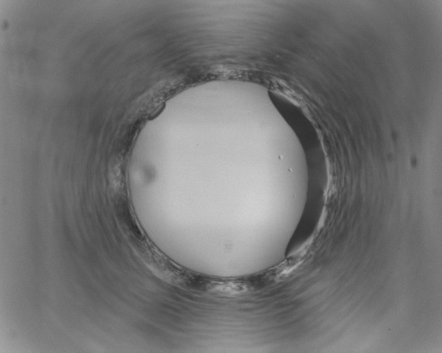 X0000066120611200604071914