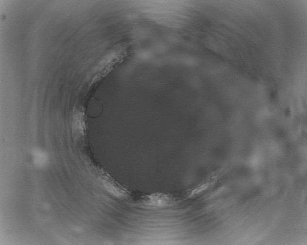 X0000066120612200604071914