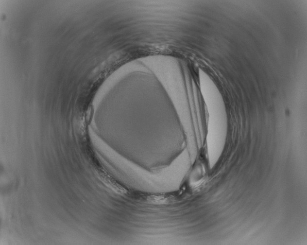 X0000066120613200604071914