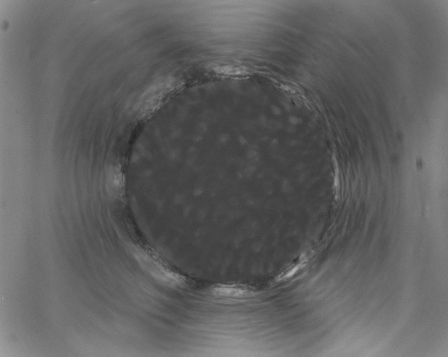 X0000066120614200604071914