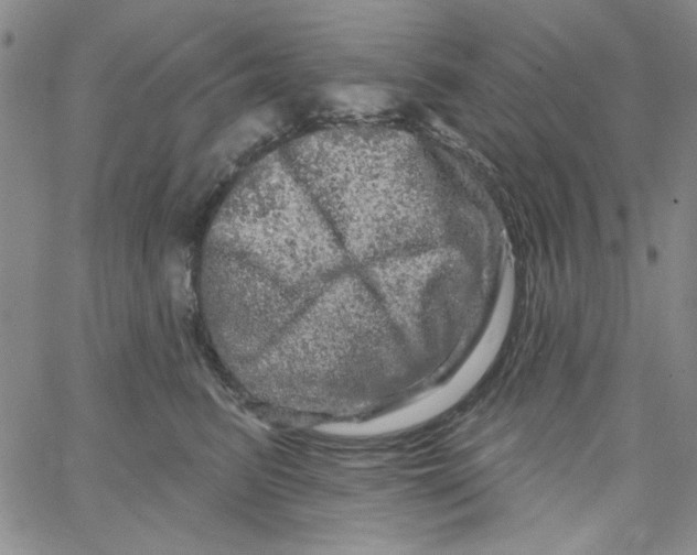 X0000066120615200604071914