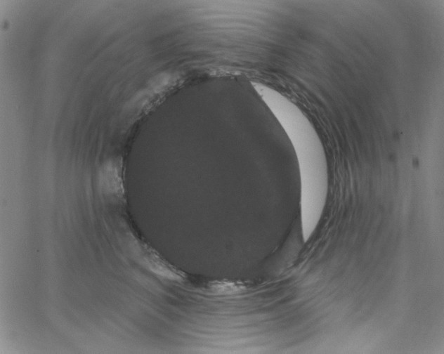 X0000066120616200604071914