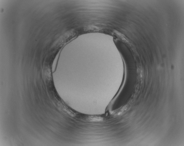 X0000066120617200604071914