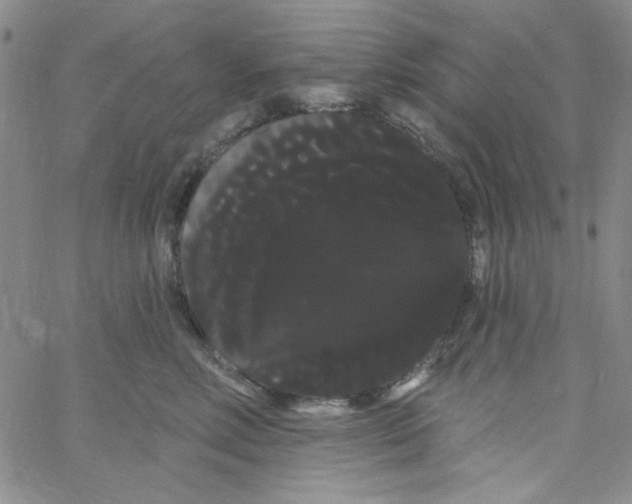 X0000066120618200604071914