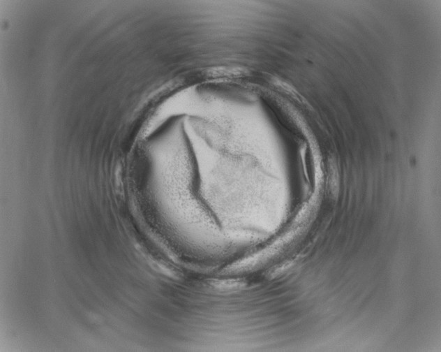 X0000066120619200604071913