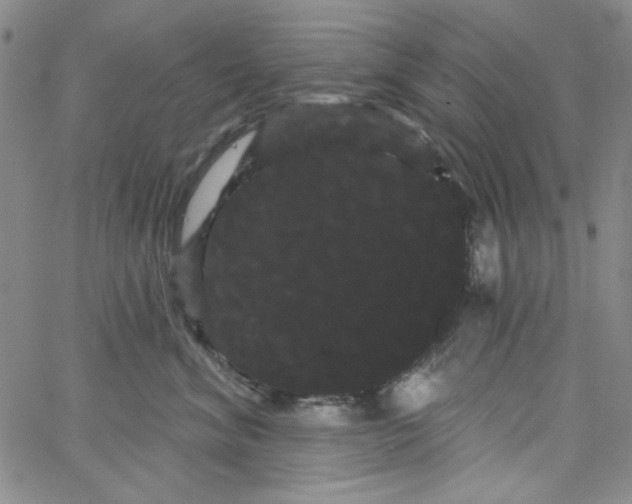 X0000066120620200604071913