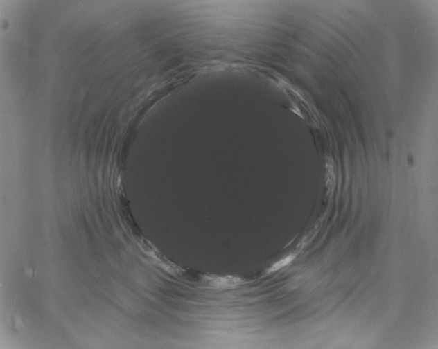 X0000066120621200604071913