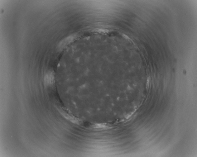 X0000066120623200604071913