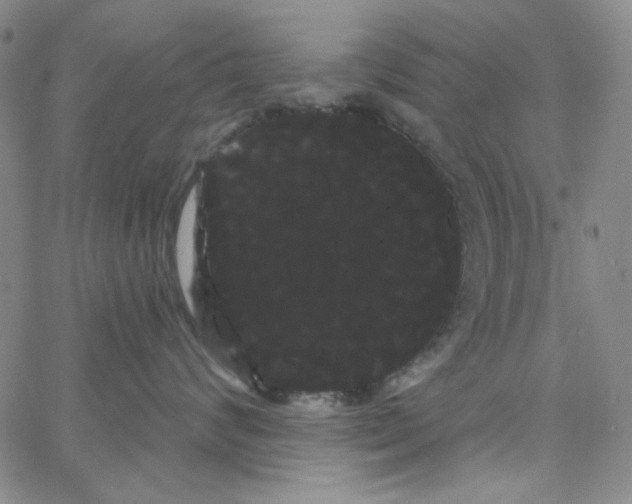 X0000066120624200604071913