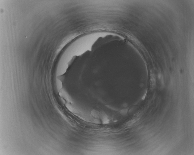 X0000066120626200604071913