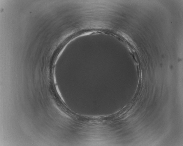 X0000066120627200604071913