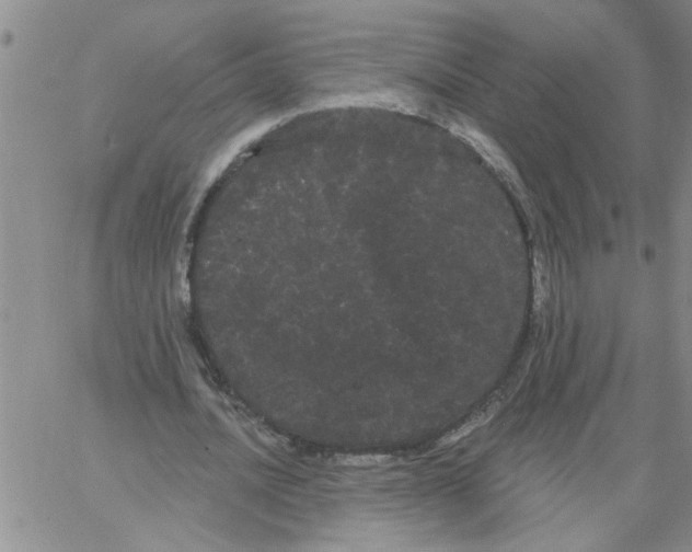 X0000066120628200604071913