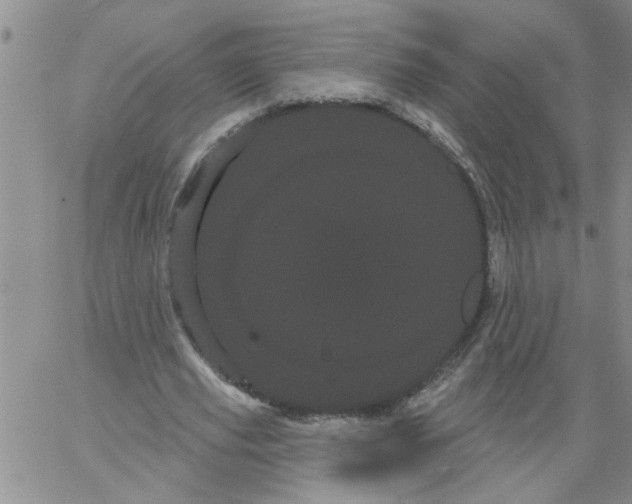 X0000066120629200604071913