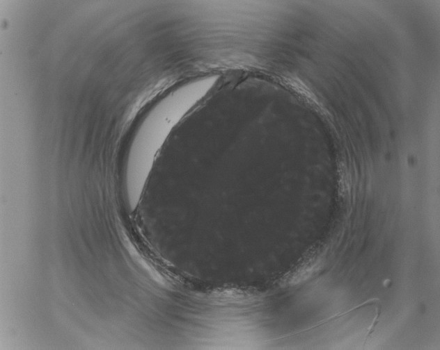 X0000066120634200604071913