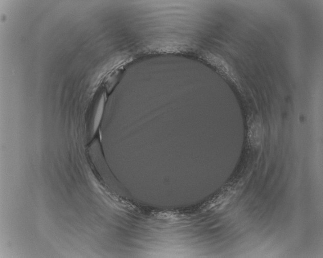 X0000066120635200604071913