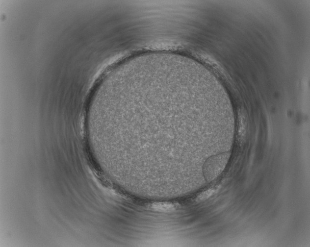 X0000066120636200604071913