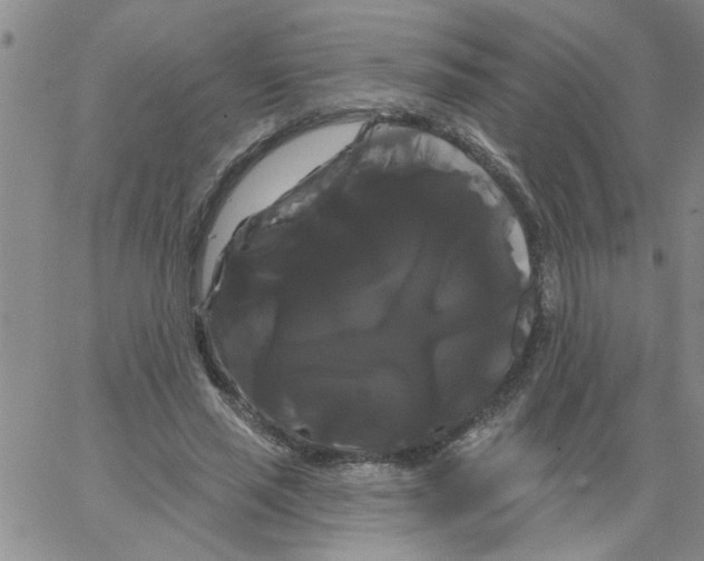 X0000066120637200604071913