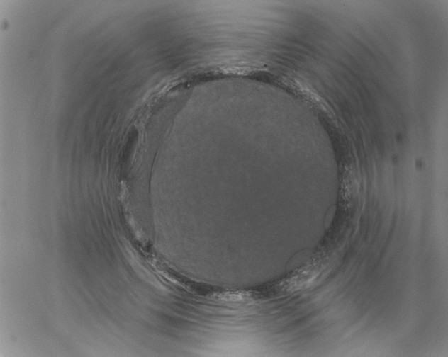 X0000066120639200604071913