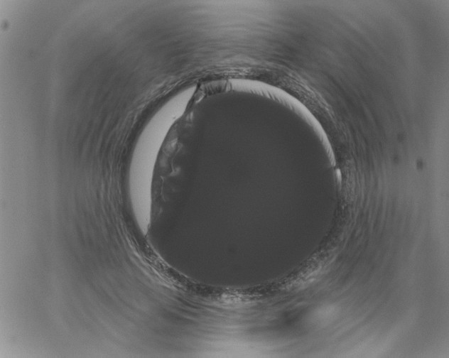 X0000066120641200604071913