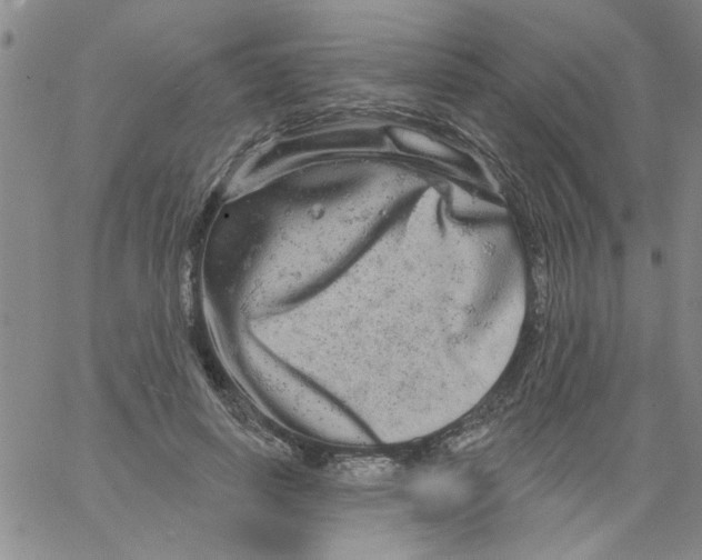 X0000066120642200604071913