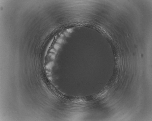 X0000066120643200604071913