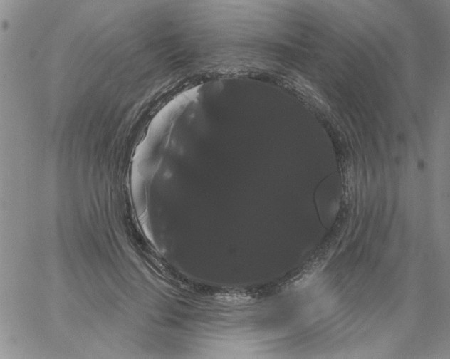 X0000066120644200604071913