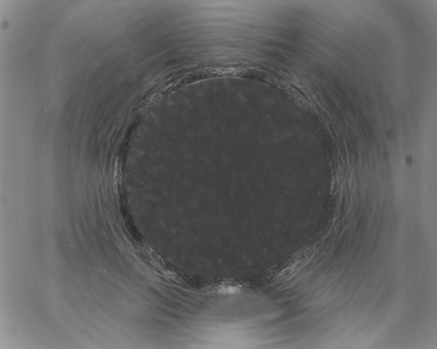 X0000066120647200604071913