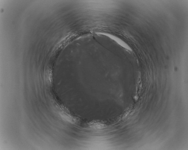 X0000066120648200604071913