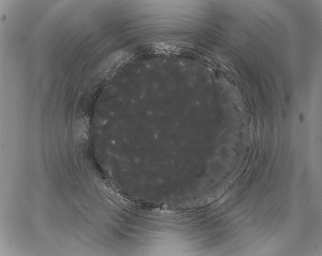 X0000066120649200604071913