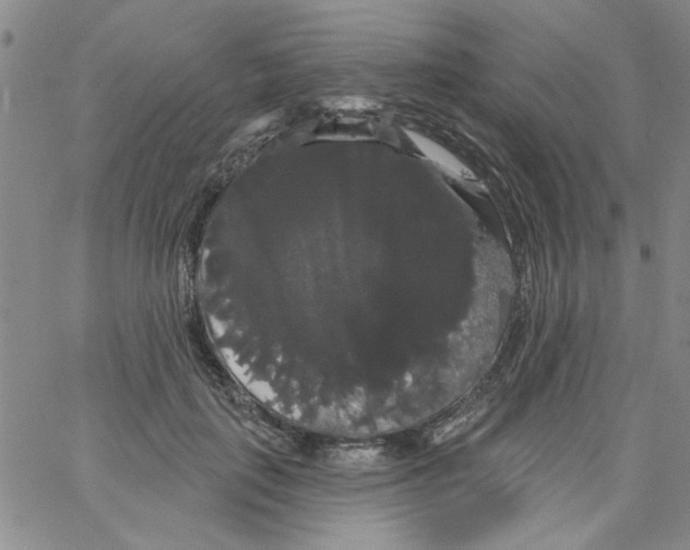 X0000066120651200604071913