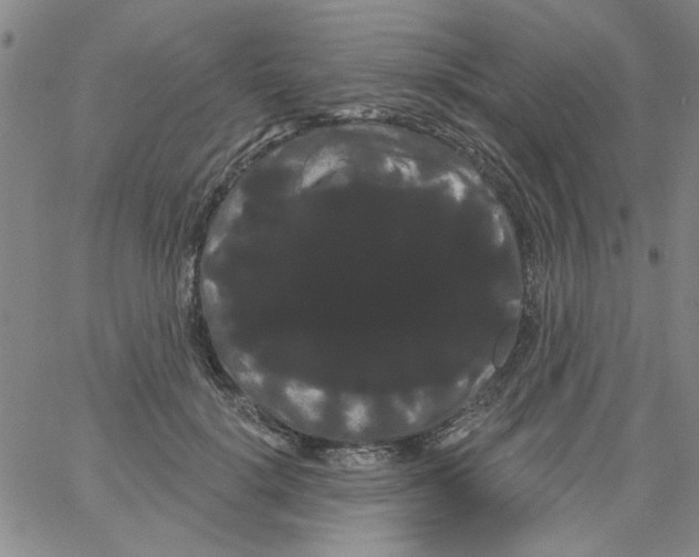 X0000066120652200604071913