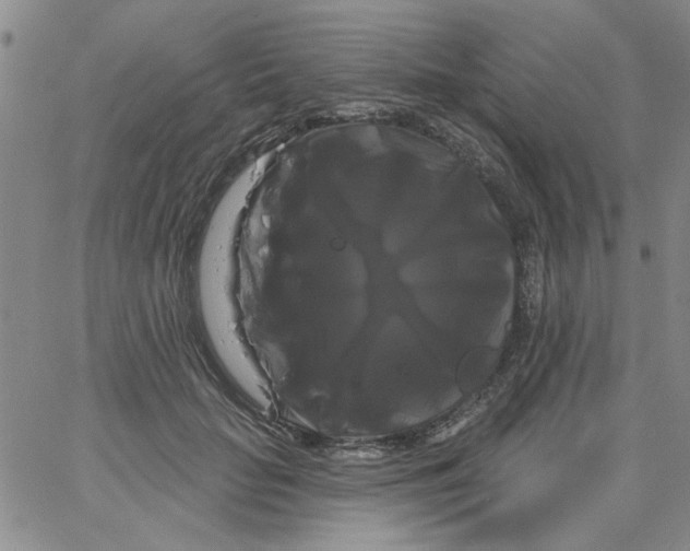 X0000066120653200604071913