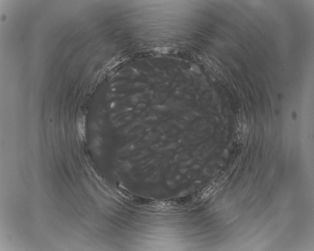 X0000066120656200604071913