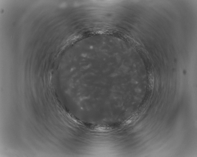 X0000066120657200604071913