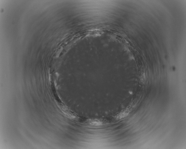 X0000066120658200604071913