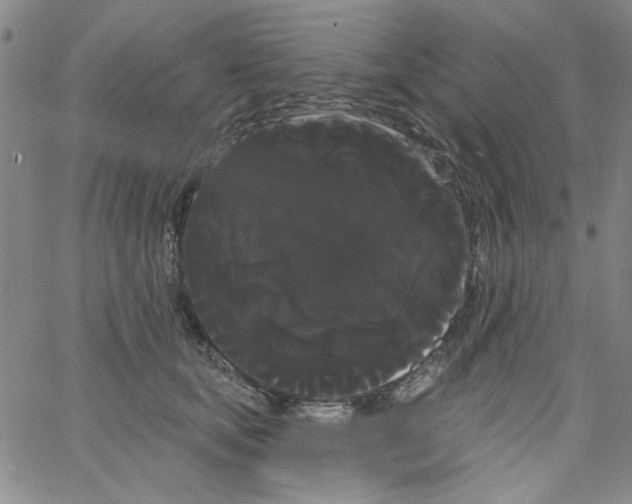 X0000066120659200604071913