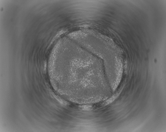 X0000066120660200604071913