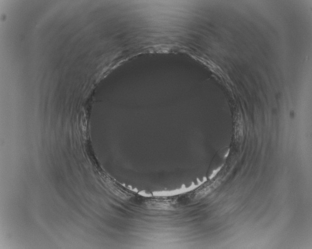 X0000066120661200604071913