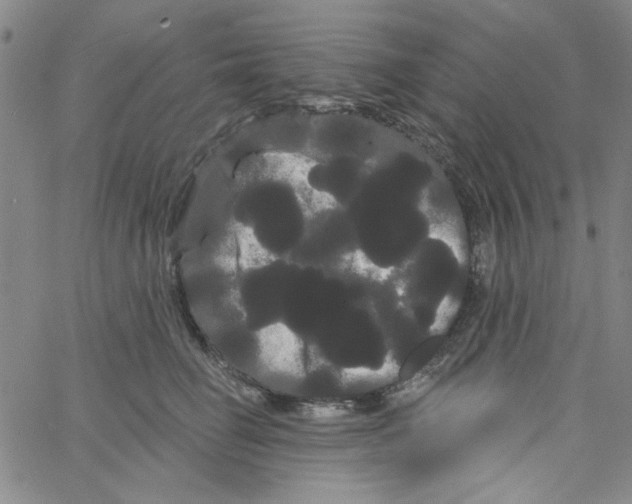 X0000066120662200604071913