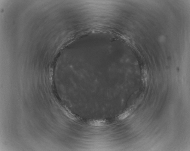 X0000066120664200604071913