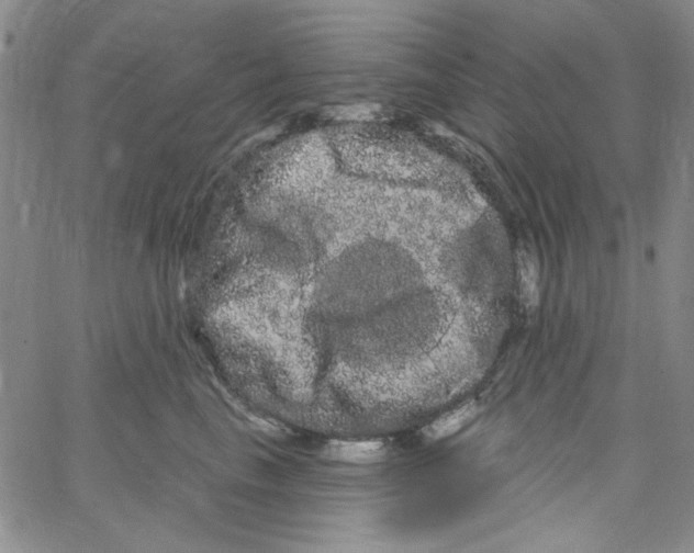 X0000066120665200604071913