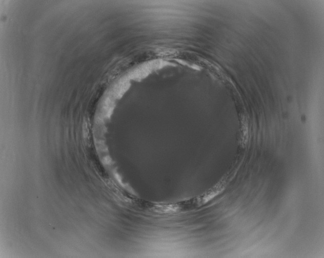 X0000066120667200604071913