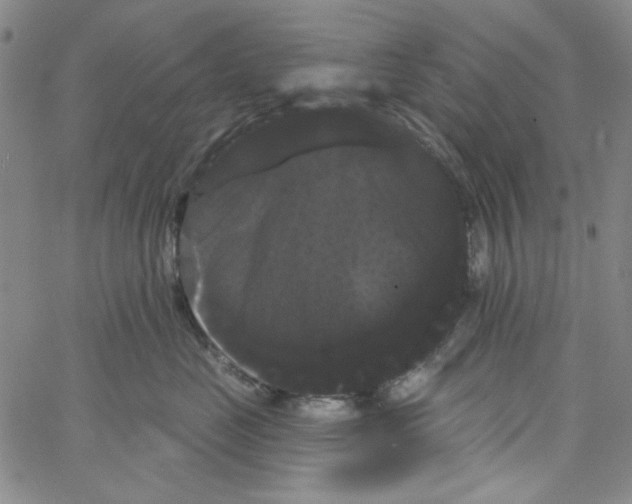 X0000066120669200604071913