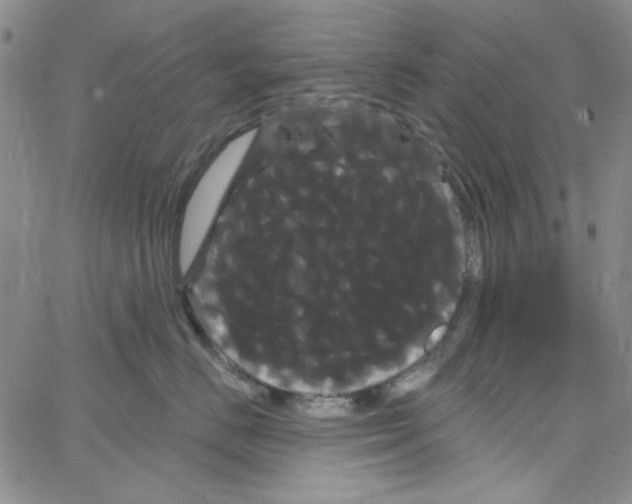 X0000066120670200604071913