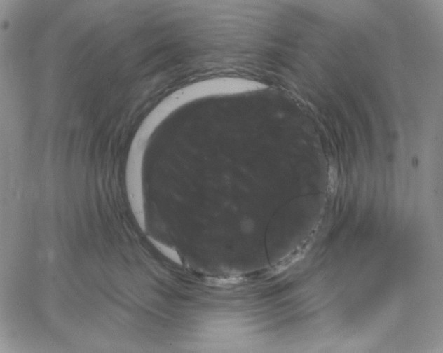 X0000066120671200604071913