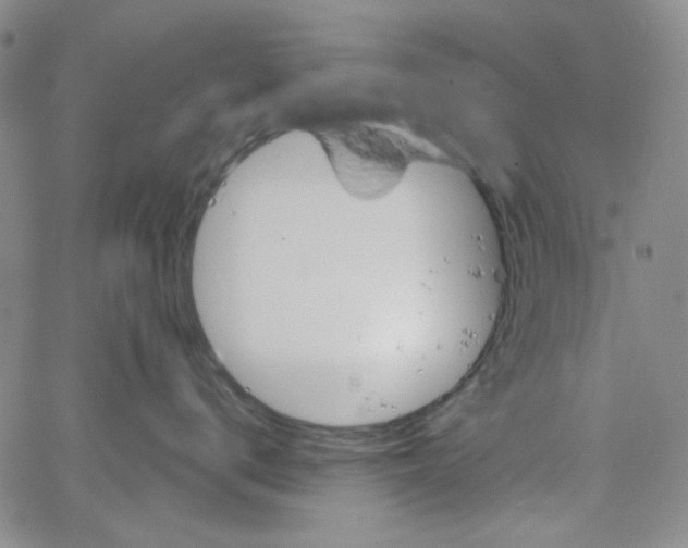 X0000066120672200604071913